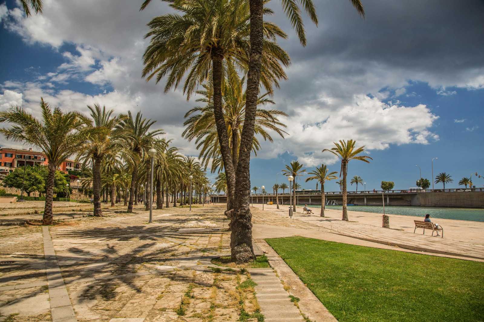 Putovanje-Palma-de-Mallorca-1.jpeg